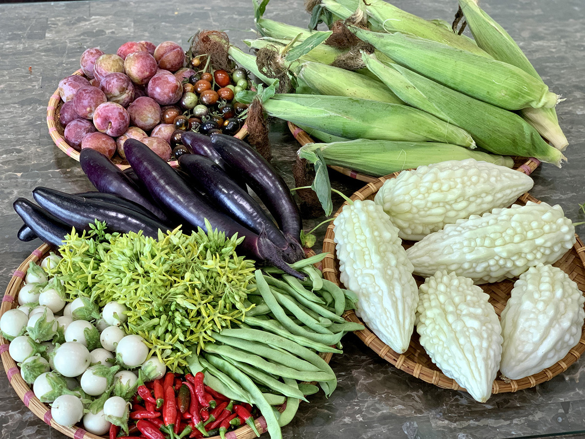 Khu vườn toàn rau trái Việt trên đất Mỹ - Ảnh 12. Khu vườn toàn rau trái Việt trên đất Mỹ - Ảnh 12.