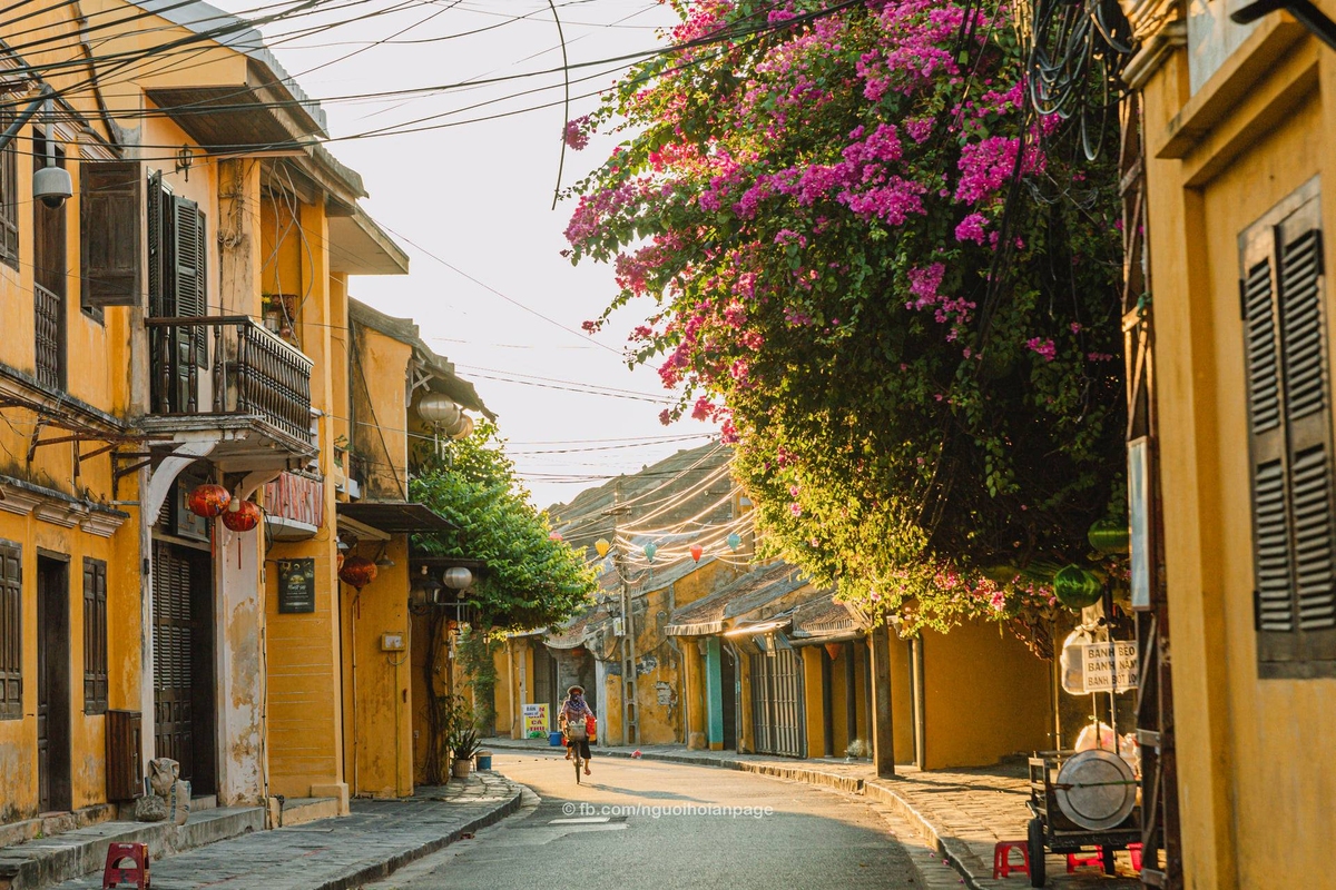 Khoảnh khắc sang thu ở các thành phố du lịch Đà Lạt, Hội An - Ảnh 6.