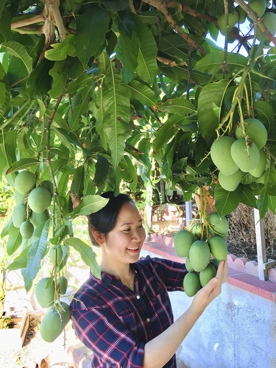 Khu vườn toàn rau trái Việt trên đất Mỹ - Ảnh 9. Khu vườn toàn rau trái Việt trên đất Mỹ - Ảnh 9.