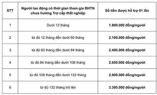 13 triệu người lao động cần chuẩn bị gì để nhận hỗ trợ nhanh nhất? - Ảnh 2.