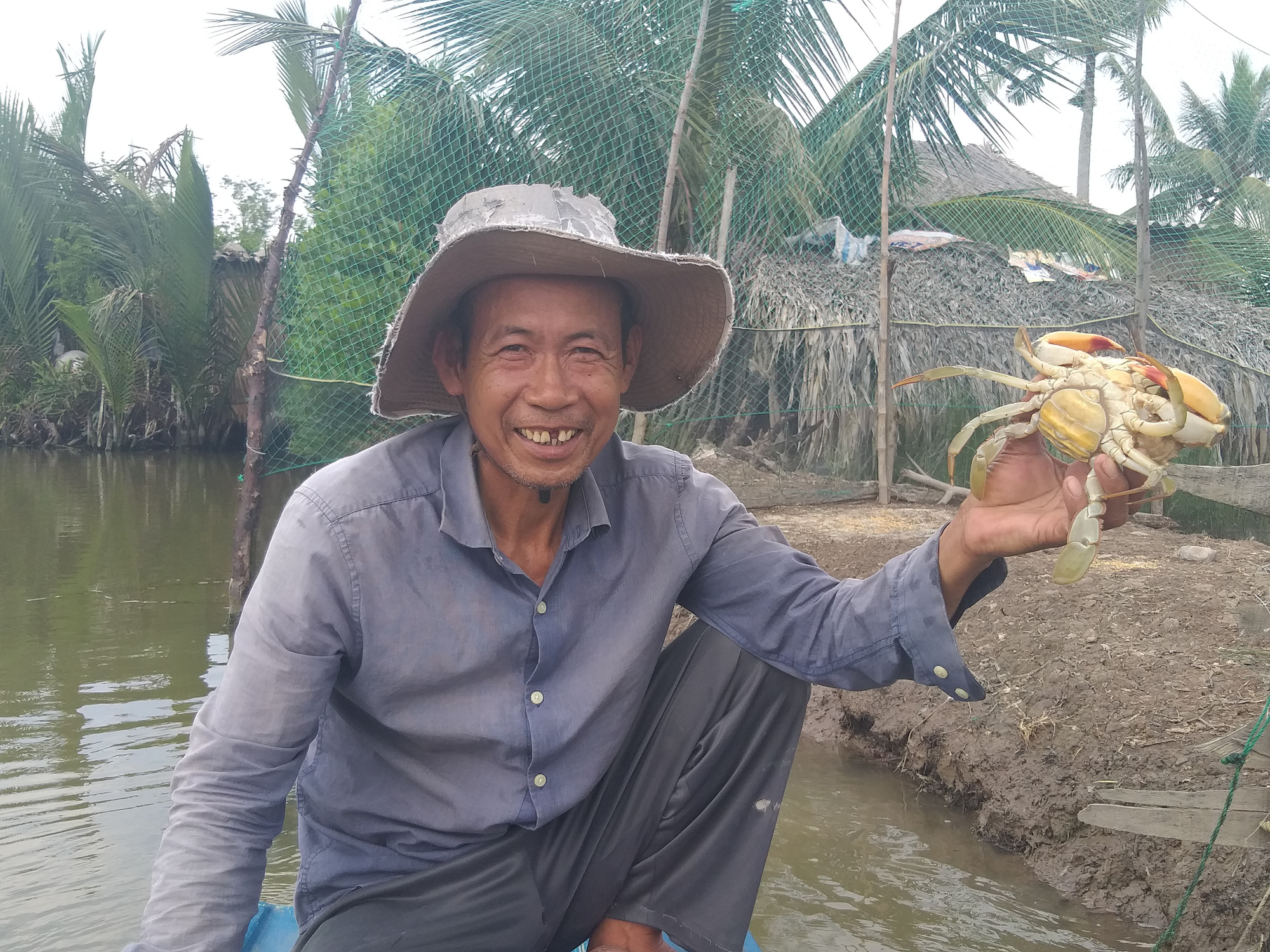 Cua gạch ngon nhất miền T&acirc;y tăng 100.000 đồng/kg - Ảnh 1.