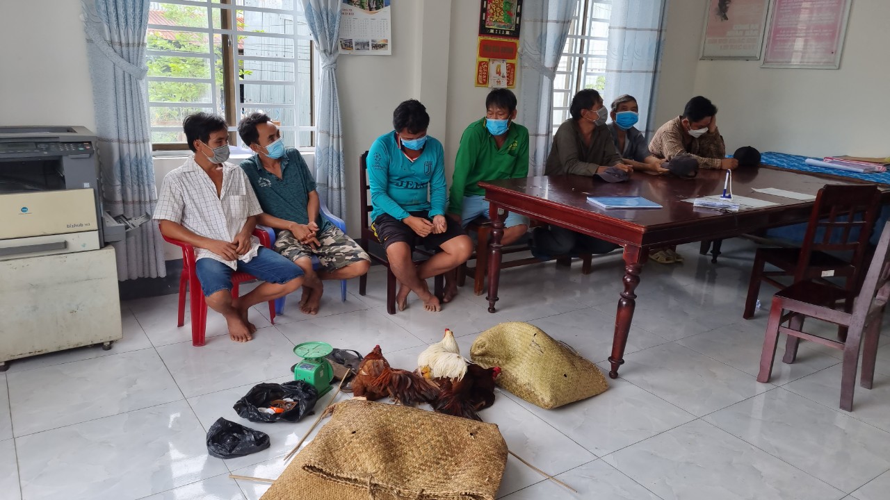 Bắt quả tang 7 đối tượng "trồng cựa sắt" để kiếm thu nhập