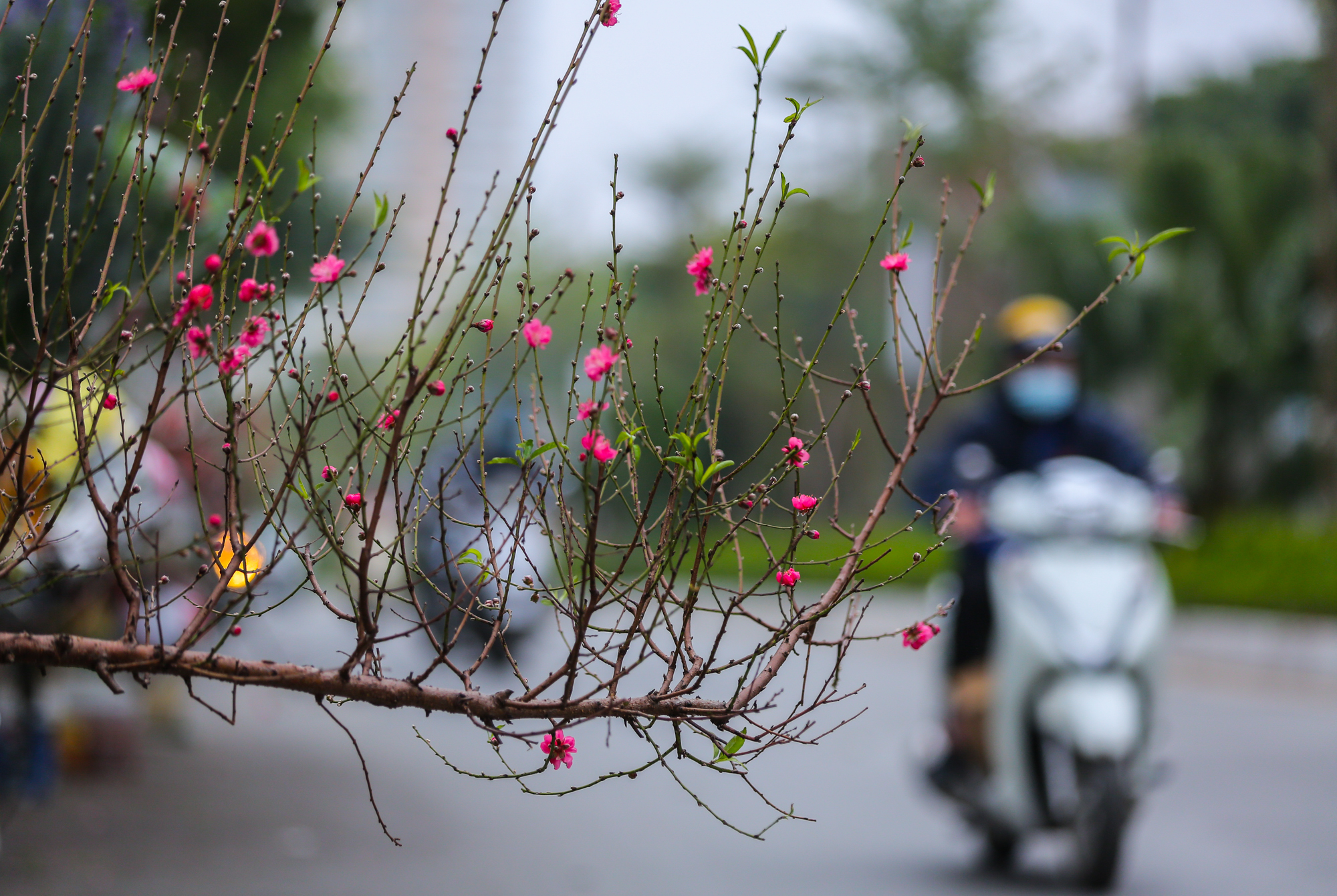 Sắc xuân xuống phố, nhiều tiểu thương m&eacute;o mặt v&igrave; thị trường Tết ảm đạm - Ảnh 9.