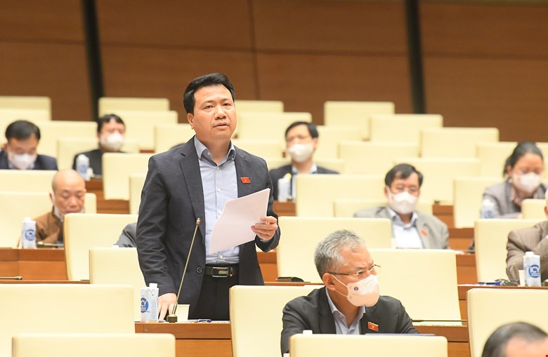 Đại biểu Quốc hội tranh luận về chênh lệch địa tô và câu chuyện con gà, quả trứng - Ảnh 1.