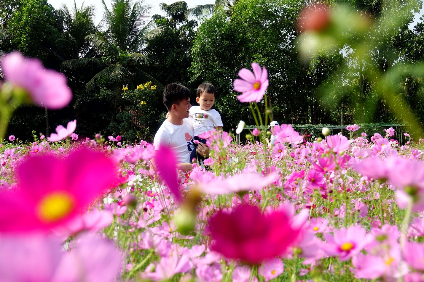 BenThanh Tourist tung chùm tour Tết 2022 giá hấp dẫn - Ảnh 3.