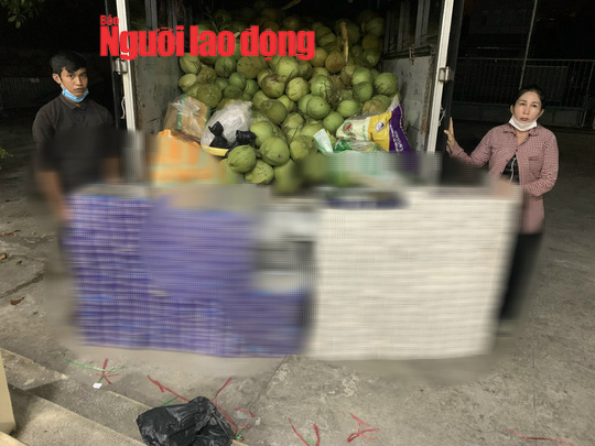 Lật tẩy bên trong thùng xe tải chở đầy dừa tươi định ra Phú Quốc