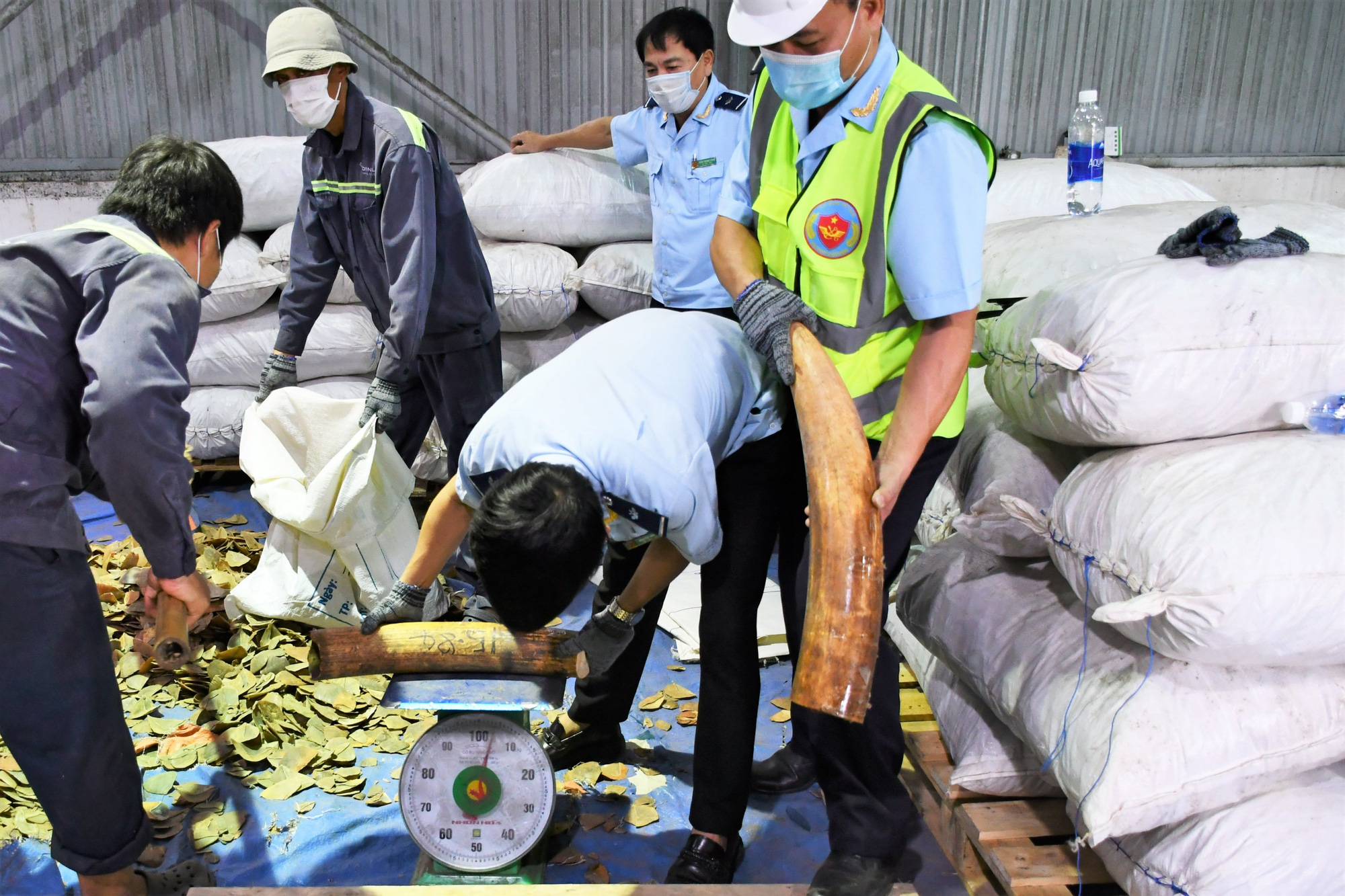 B&iacute; mật b&ecirc;n trong h&agrave;ng tấn hạt điều nhập khẩu từ Nigeria v&agrave;o Việt Nam - Ảnh 3.