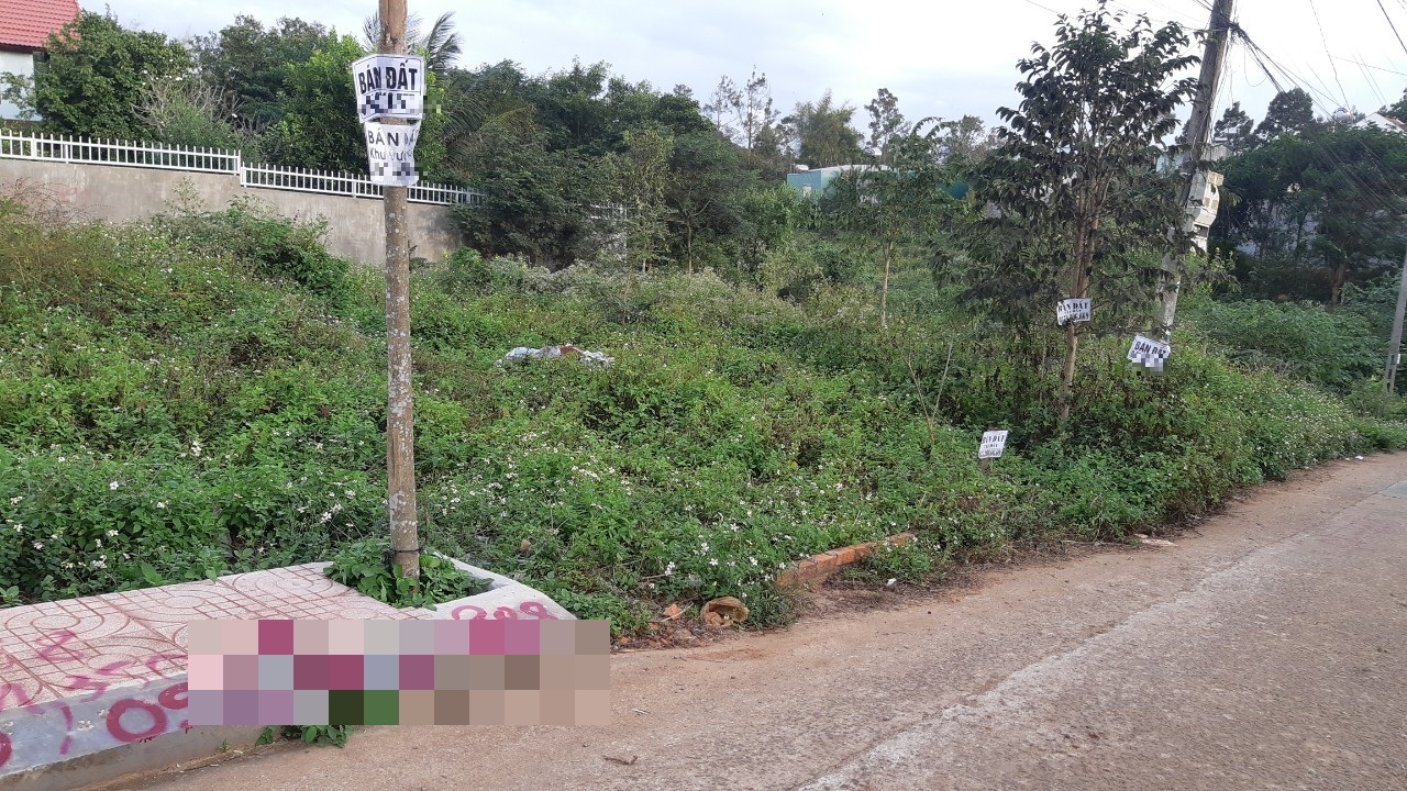 Đắk Lắk sốt đất chưa từng thấy, người TP HCM v&agrave; H&agrave; Nội đổ x&ocirc; đến mua  - Ảnh 3.