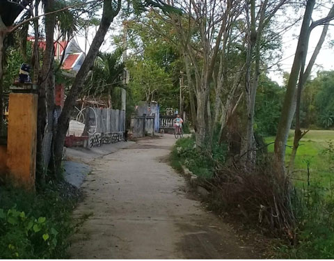 Qu&aacute;n hớt t&oacute;c ng&agrave;y n&agrave;o của cha - Ảnh 1.
