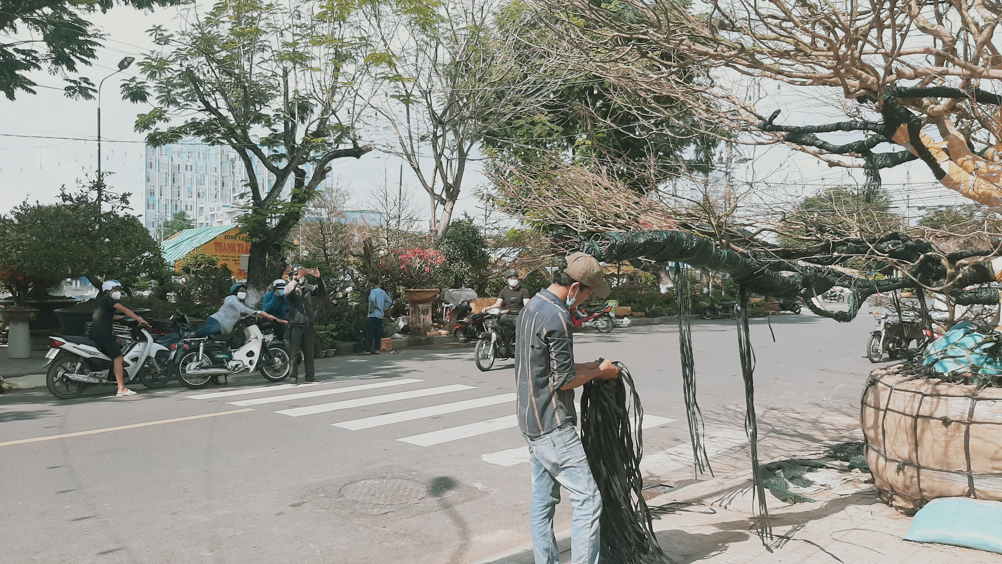 CLIP: X&ocirc;n xao &ldquo;cụ&rdquo; mai v&agrave;ng 4 tỉ đồng ở An Giang - Ảnh 3.