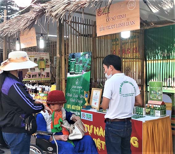 Sống khỏe nhờ c&acirc;y tr&agrave;m - Ảnh 1.