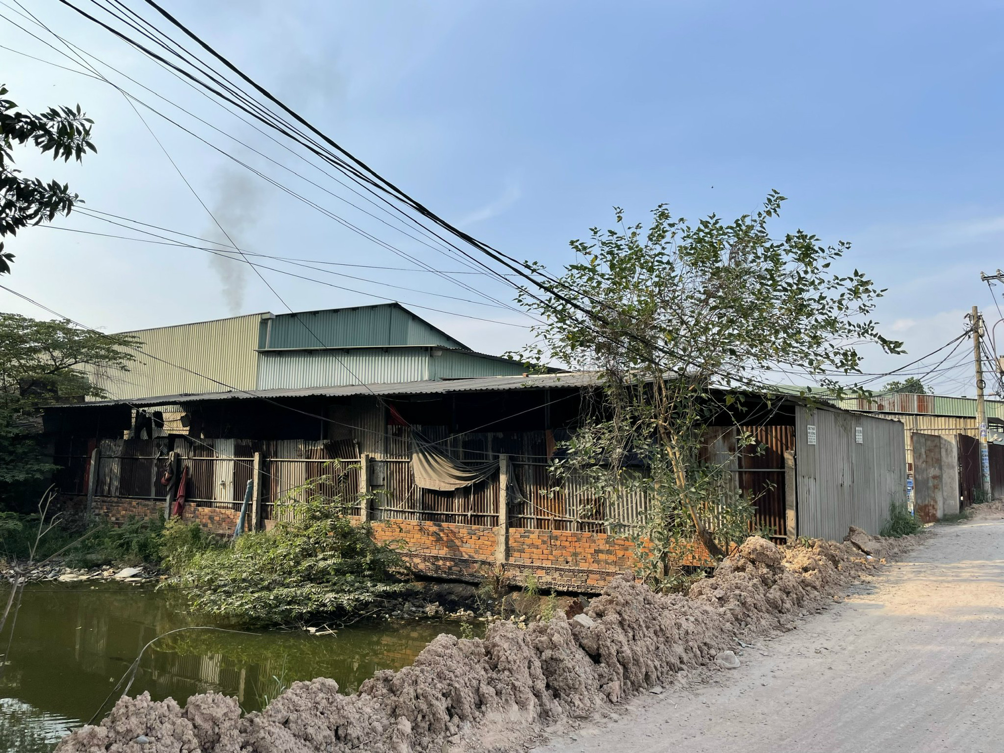 Con rạch thường xuy&ecirc;n đổi m&agrave;u k&ecirc;u cứu - Ảnh 3.