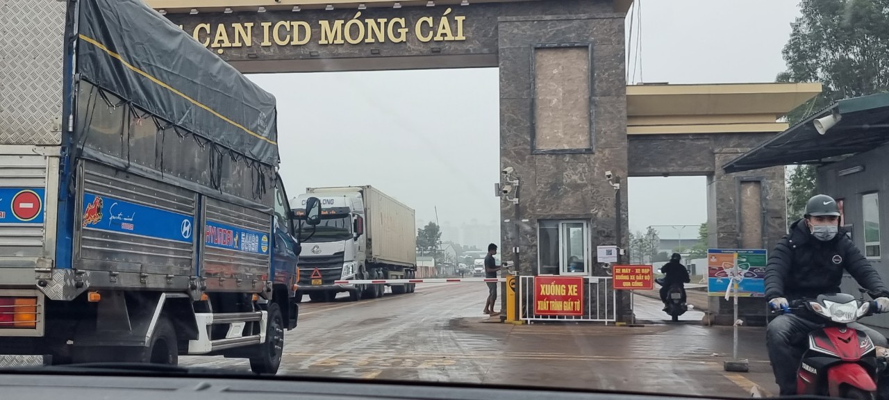 Tạm dừng tiếp nhận mặt hàng hoa quả, thủy sản đông lạnh qua cửa khẩu Móng Cái