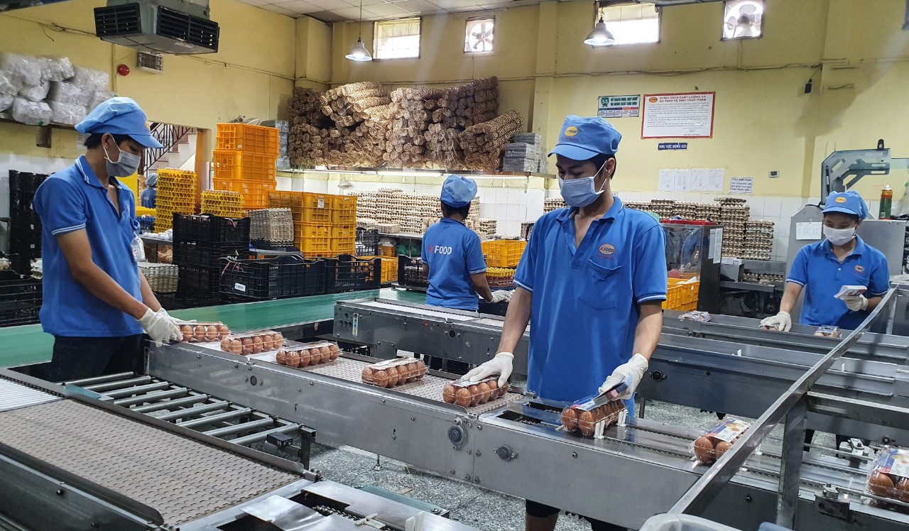 22% lao động sẽ nghỉ việc nếu doanh nghiệp không thưởng Tết