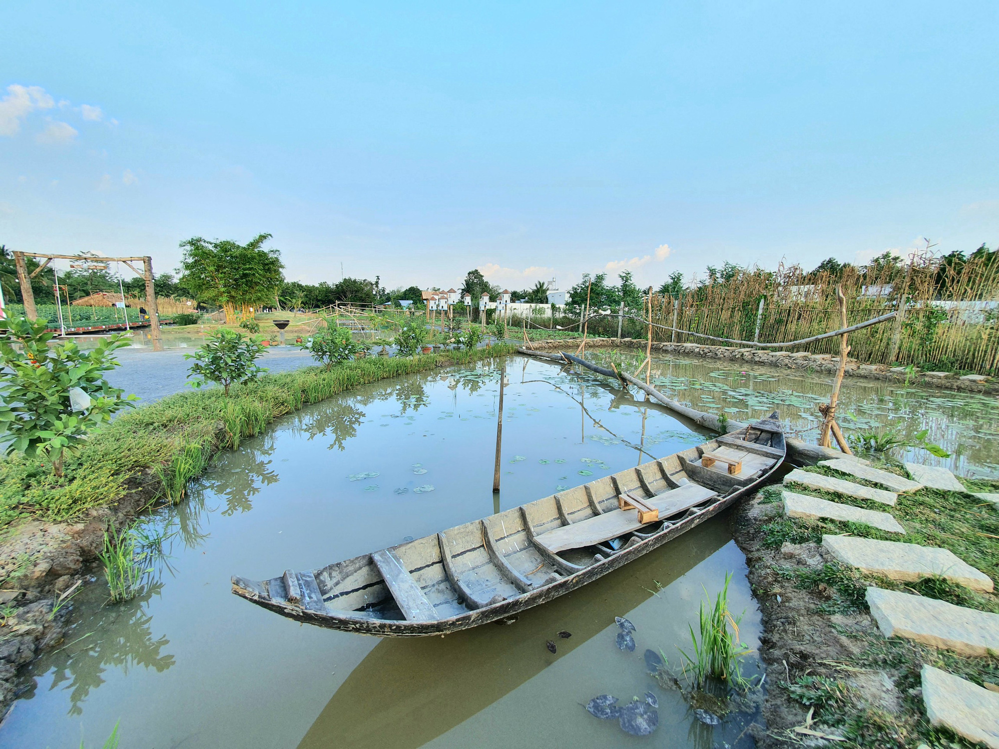 Rực rỡ sắc hoa tại Cần Thơ - Ảnh 6.