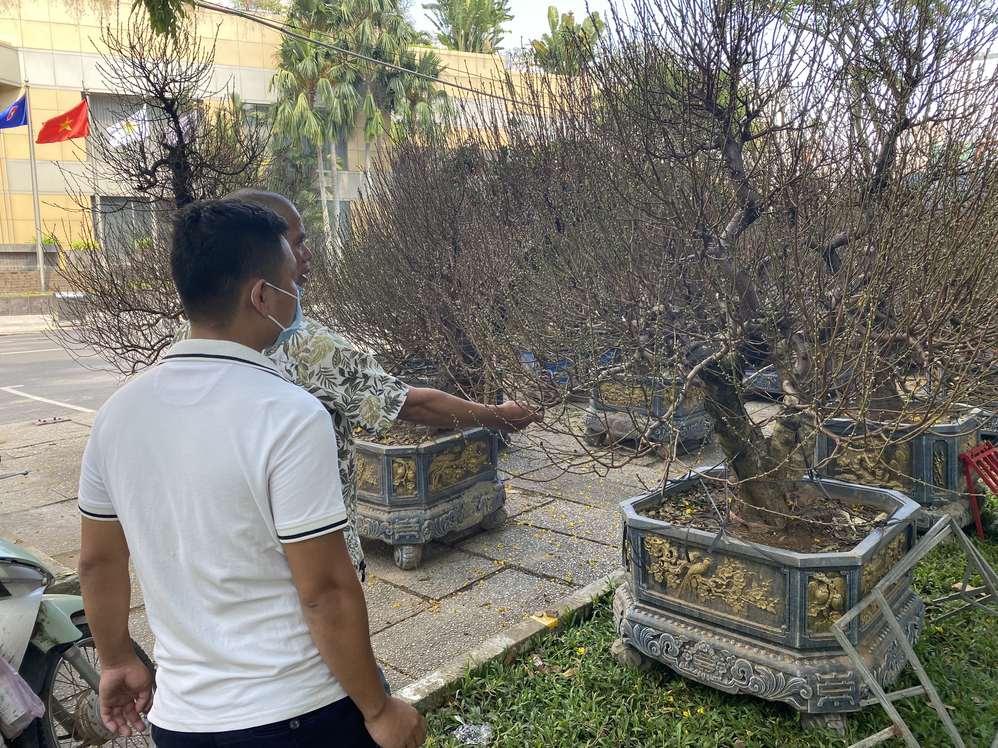 Hoa kiểng Tết có mặt tại các chợ hoa ở TP HCM - Ảnh 4.