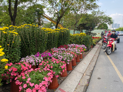 Hoa tươi tăng giá