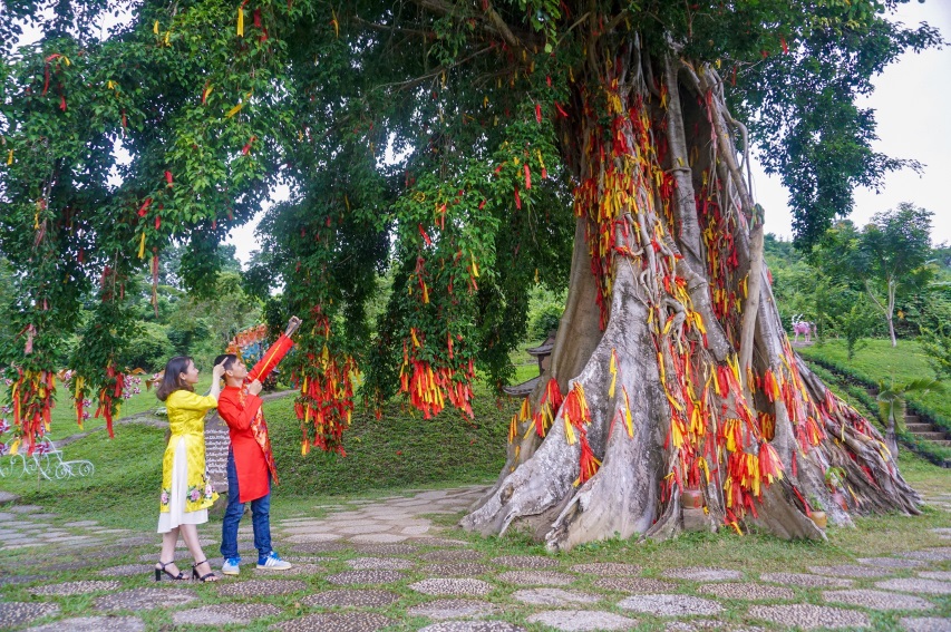Yang Bay m&ugrave;a đẹp nhất - Ảnh 3.
