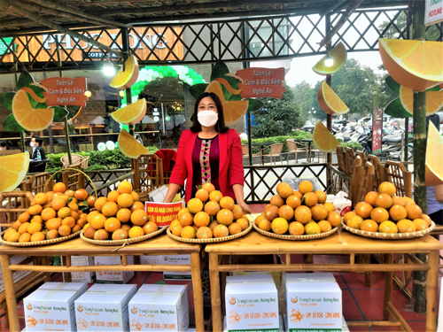 Làm giàu bằng đặc sản cam Vinh - Ảnh 2.