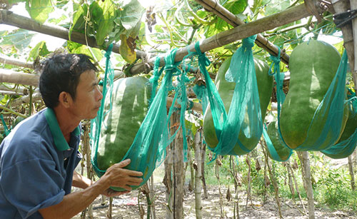 Chật vật l&agrave;ng nghề truyền thống ở miền Trung - Ảnh 2.