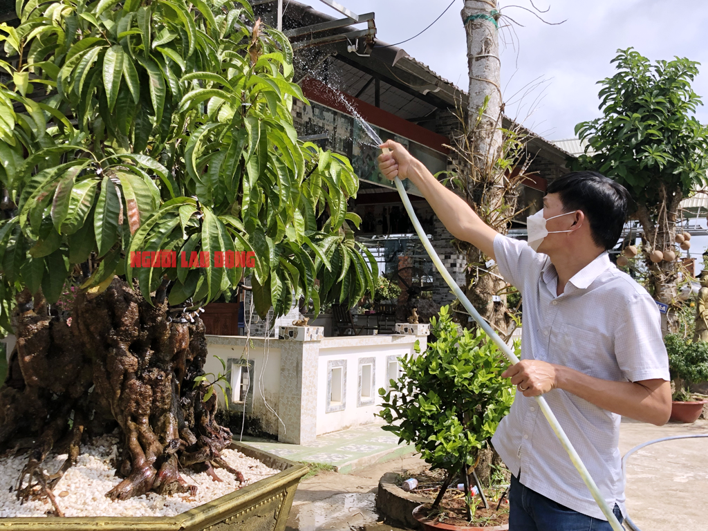 CLIP: Cận cảnh “cụ” lêkima hóa đá được rao bán 5 tỉ đồng - Ảnh 3.