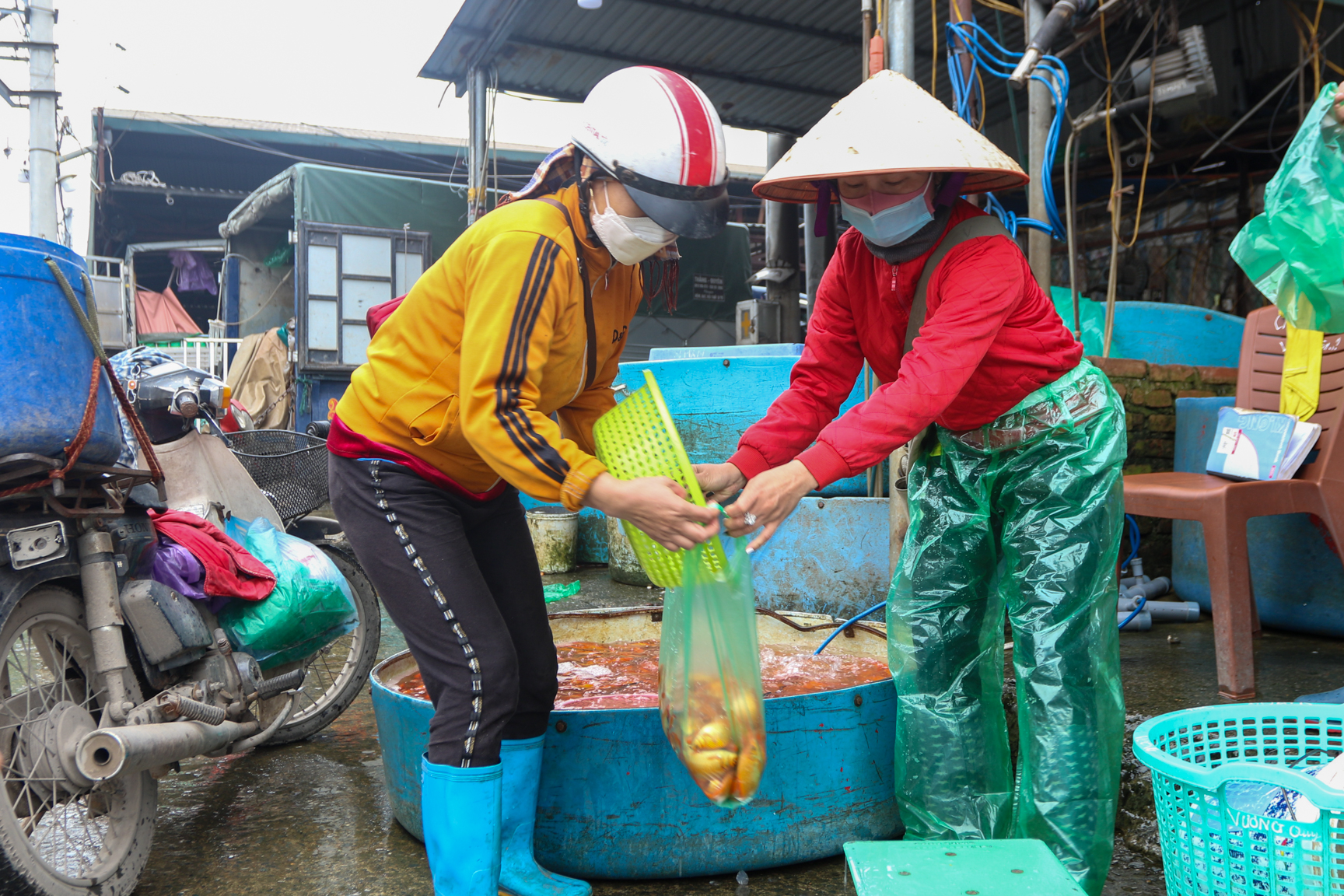 C&aacute; đi cầu trượt trong ng&agrave;y c&uacute;ng &ocirc;ng C&ocirc;ng &ocirc;ng T&aacute;o chầu trời - Ảnh 10.