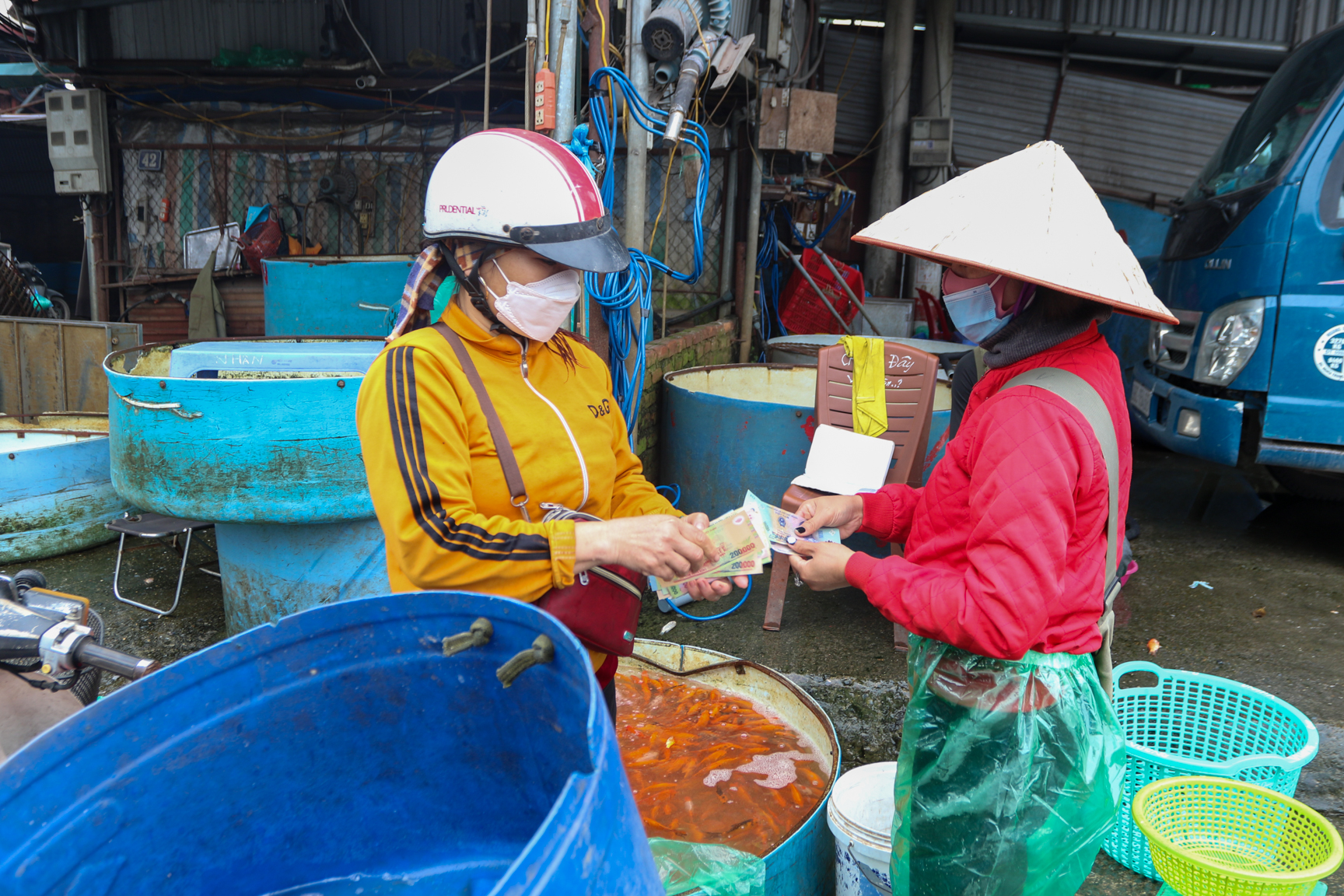 C&aacute; đi cầu trượt trong ng&agrave;y c&uacute;ng &ocirc;ng C&ocirc;ng &ocirc;ng T&aacute;o chầu trời - Ảnh 11.