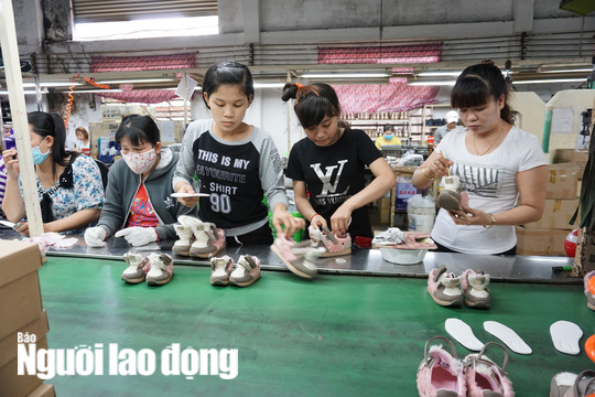 Mức hưởng lương hưu năm 2022 người  lao động cần biết - Ảnh 2.