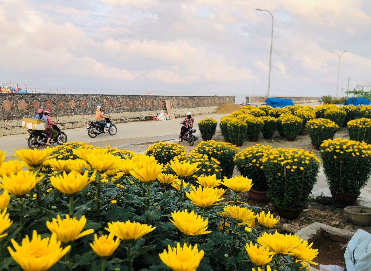 "Chở Tết" ra đảo tiền tiêu Lý Sơn