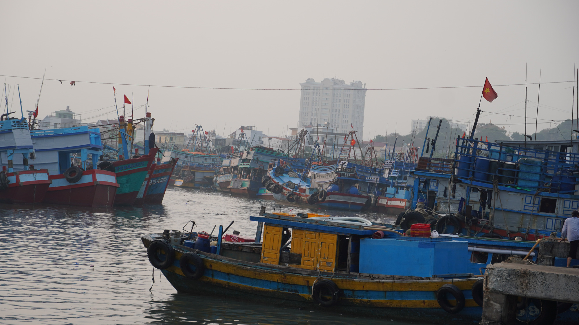 Sướng mắt với lộc biển cuối năm ở Bà Rịa- Vũng Tàu - Ảnh 1.