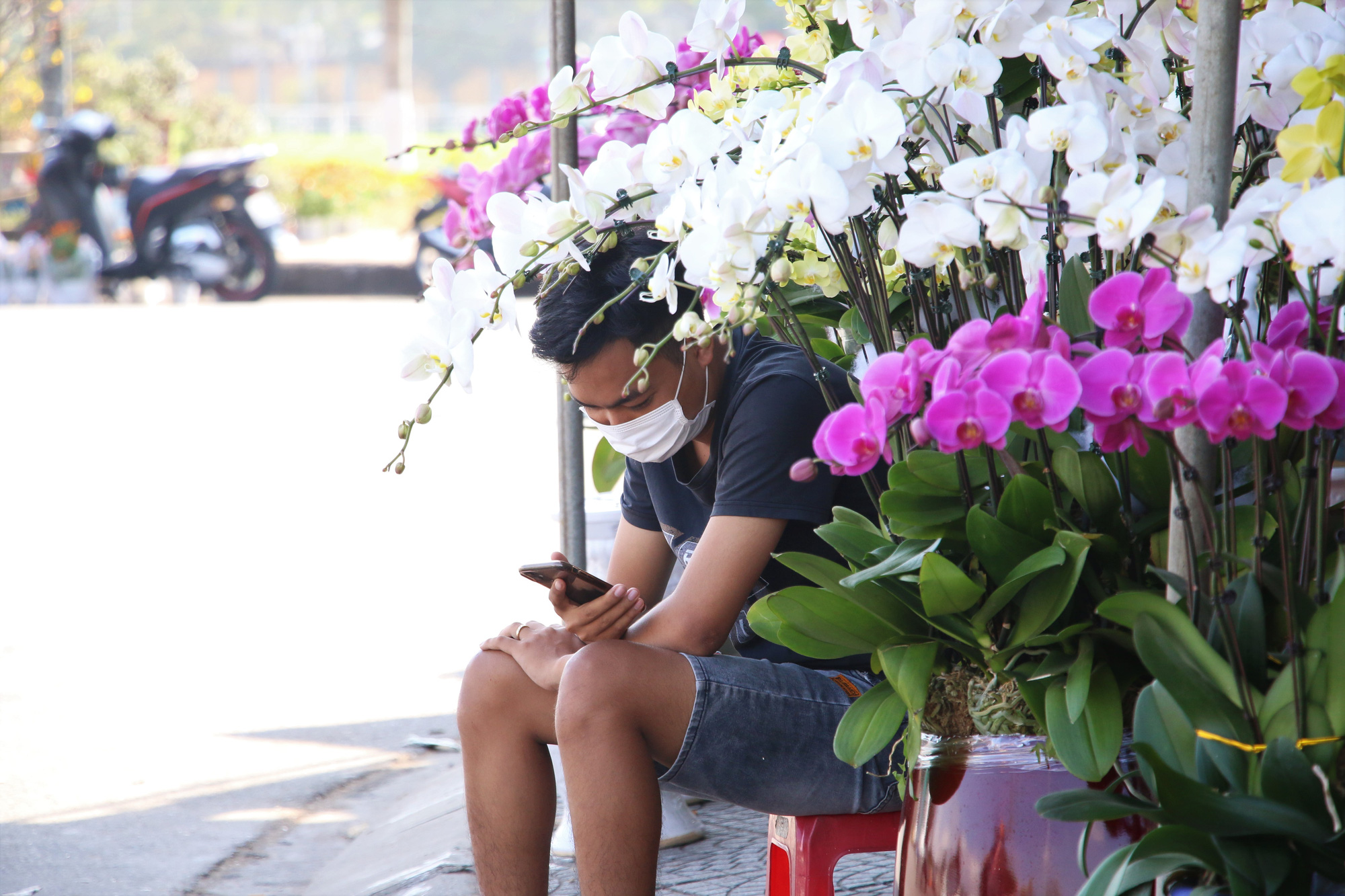 Chợ hoa Tết lớn nhất Đà Nẵng đang ế