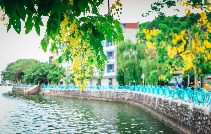 K&yacute; ức xu&acirc;n - Ảnh 1.