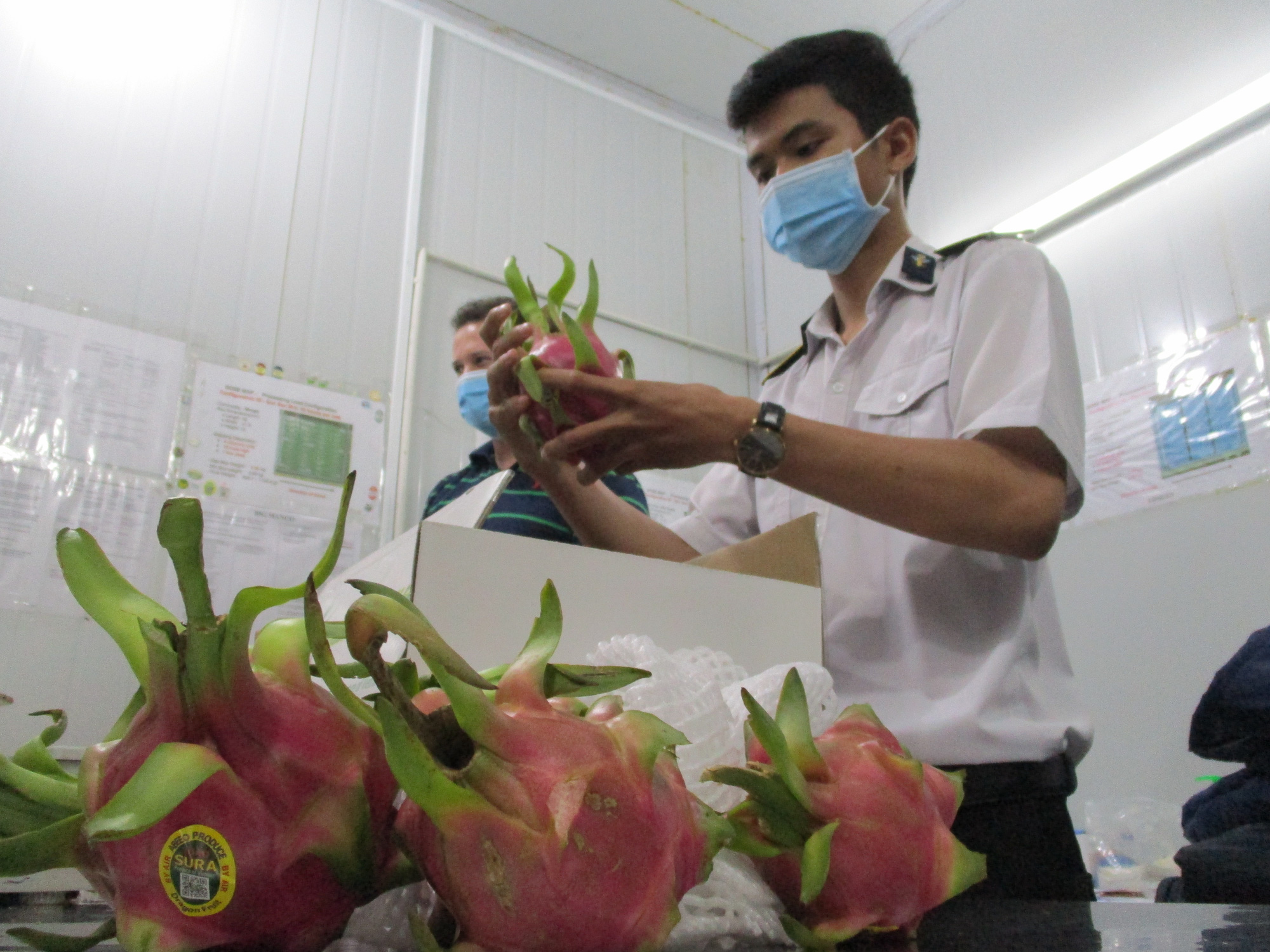 Gỡ khó cho thanh long, mì ăn liền xuất khẩu EU