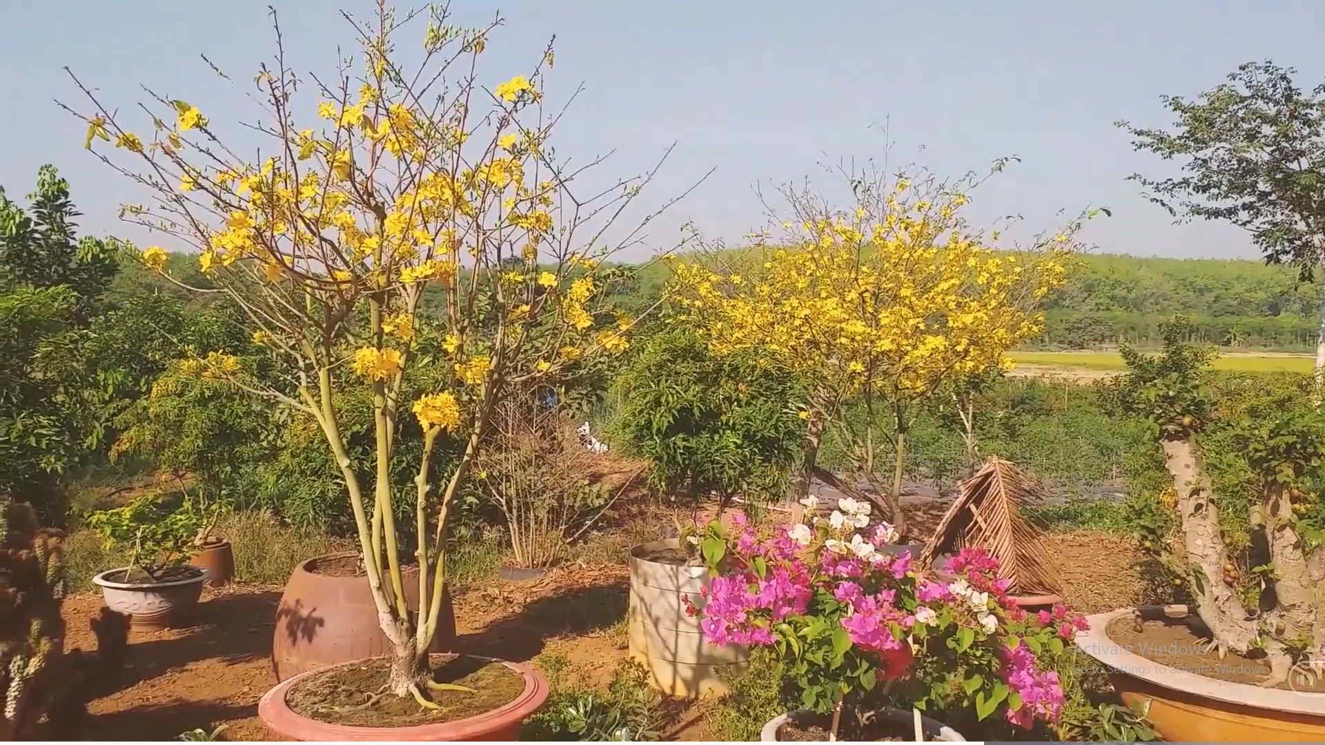 Cuộc thi Bên nhau ngày Tết: Về nhà là Tết - Ảnh 2.