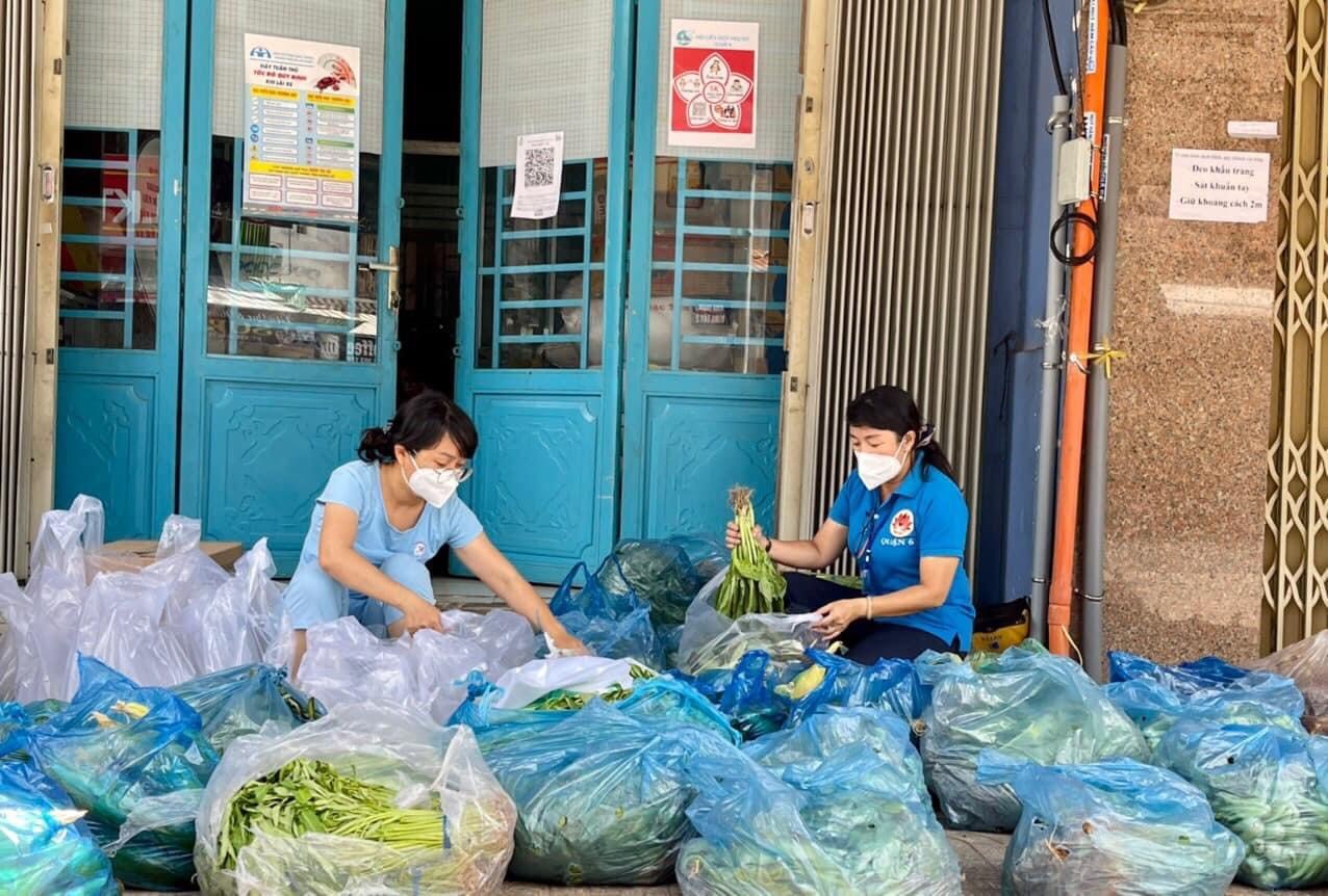 Những đóa hồng tình nguyện