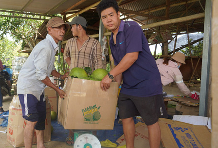 Tr&uacute;ng vụ bưởi Tết, n&ocirc;ng d&acirc;n thu về tiền tỉ - Ảnh 4.