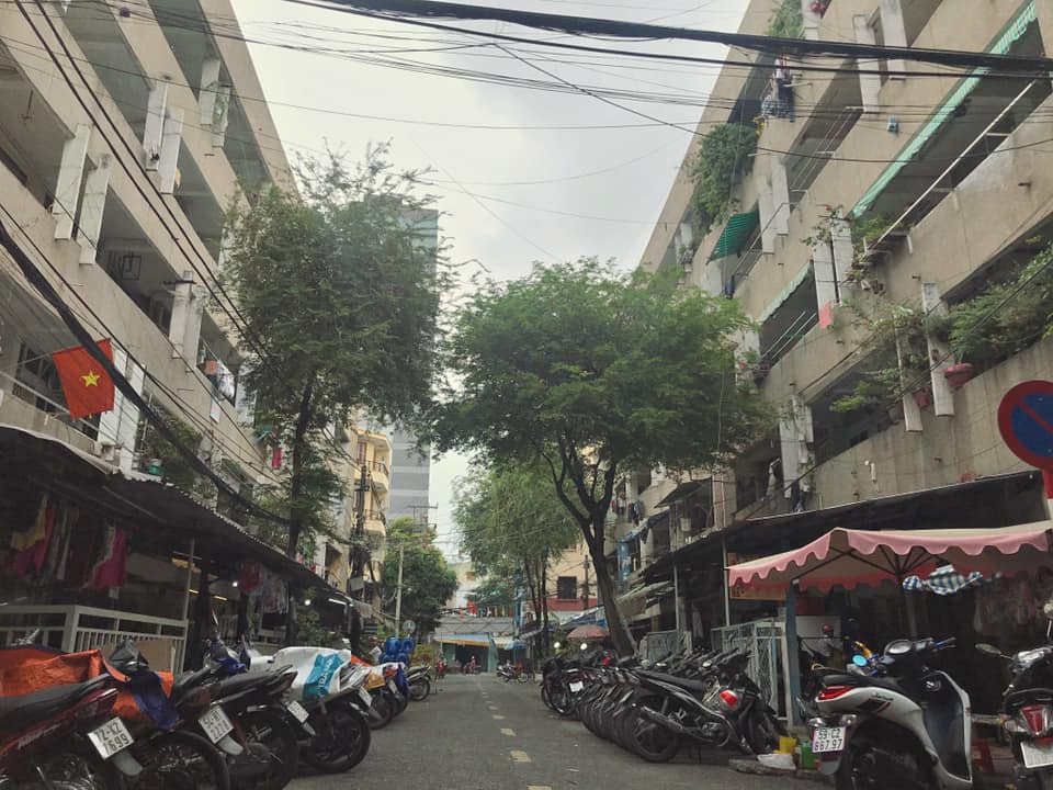 Tết này mình ở đâu? - Ảnh 1.