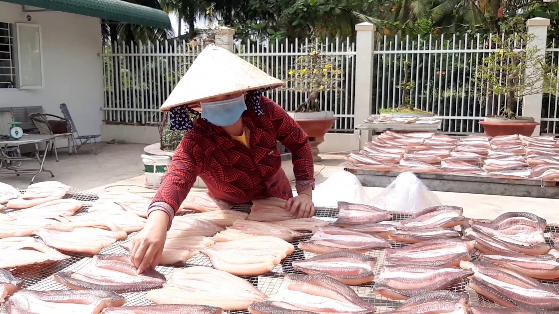 VIDEO: Đặc sản miền Tây những ngày cận Tết