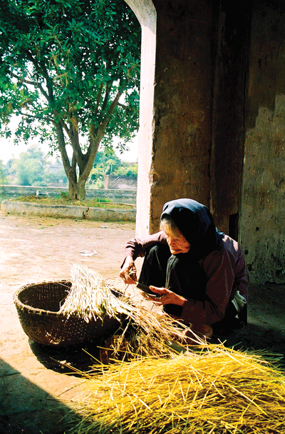 Những cô Dần quê tôi - Ảnh 3.