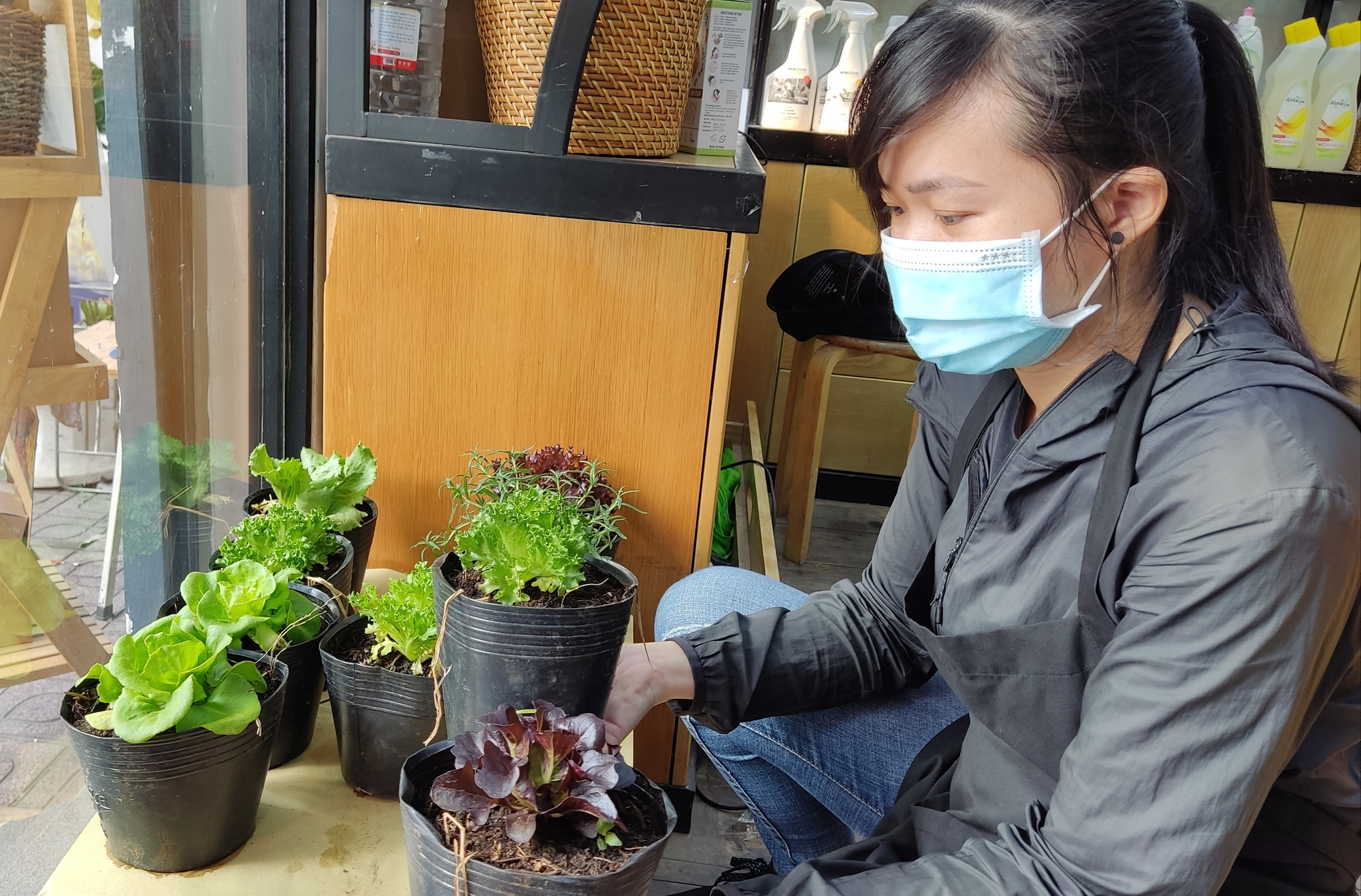 Thị dân ăn sạch, sống xanh đón Tết