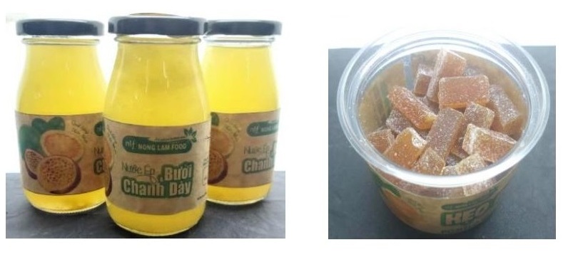 Đa dạng hóa sản phẩm từ quả bưởi