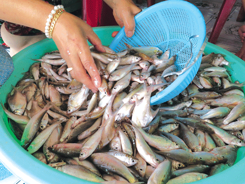 Thương nhớ m&oacute;n ngon qu&ecirc; nh&agrave; - Ảnh 3.