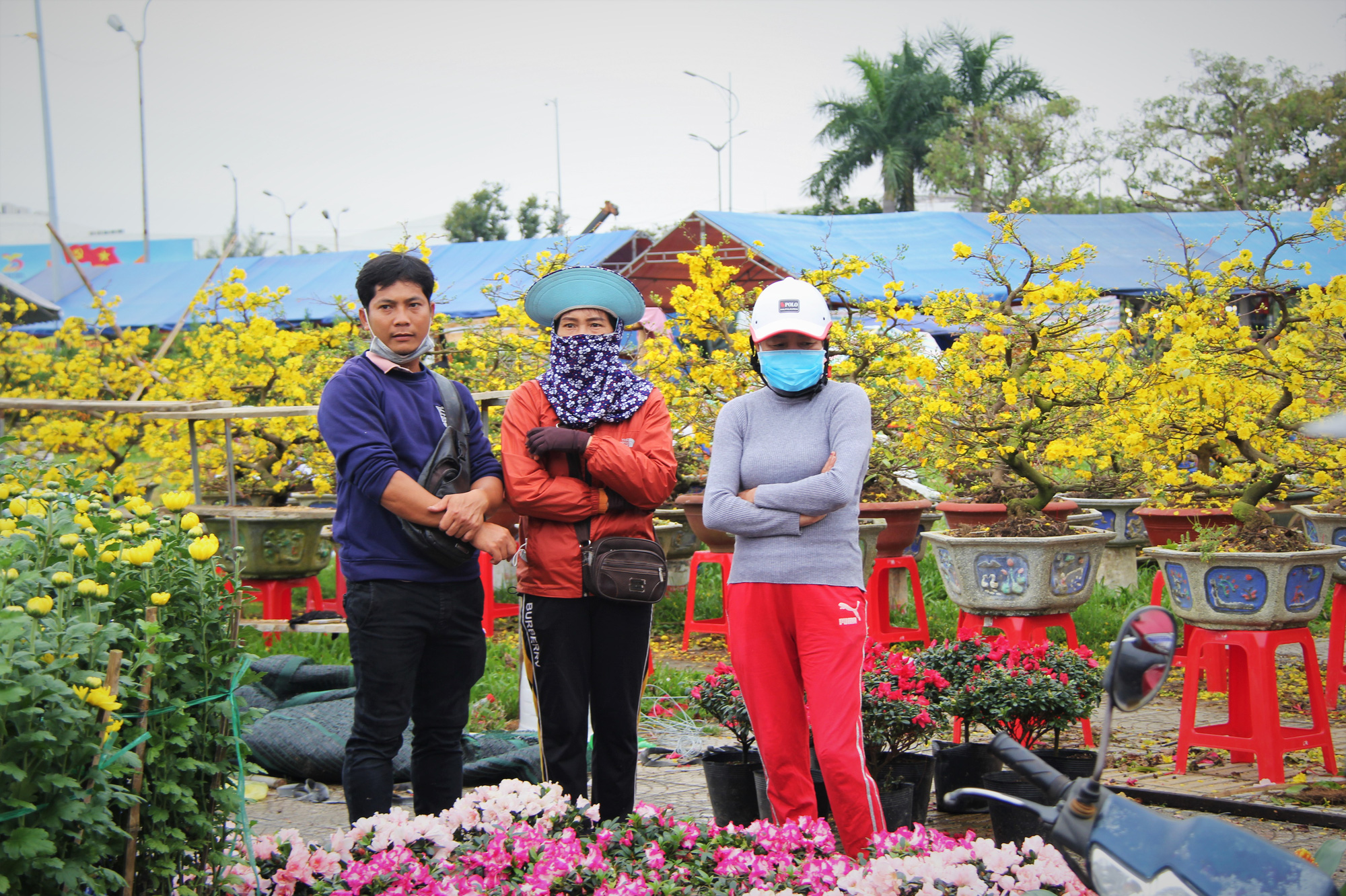 Hoa Tết Đà Nẵng: Cả chợ tất bật bán