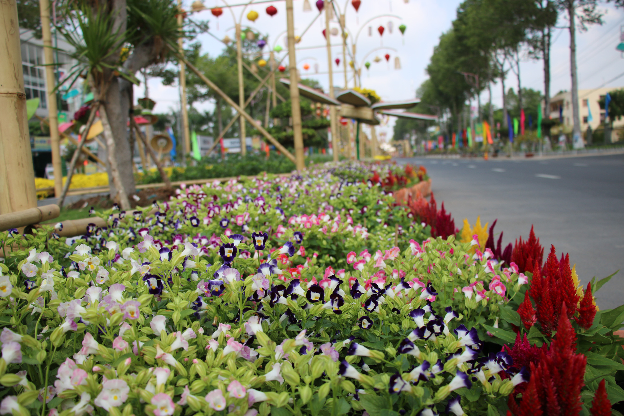 Rực rỡ đường hoa Xu&acirc;n &ldquo;Sen tr&ecirc;n phố&rdquo; ở Đồng Th&aacute;p - Ảnh 6.