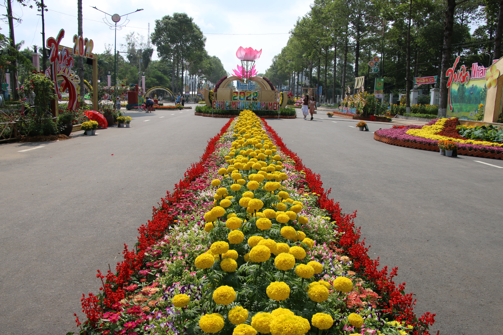 Rực rỡ đường hoa Xu&acirc;n &ldquo;Sen tr&ecirc;n phố&rdquo; ở Đồng Th&aacute;p - Ảnh 11.