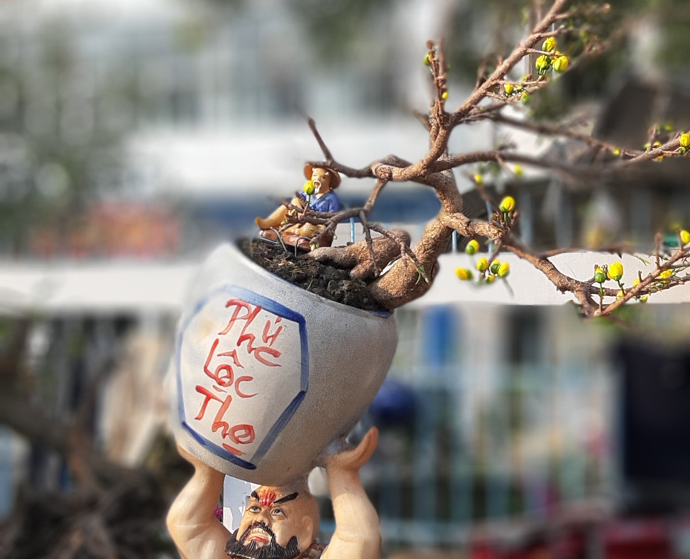 Hoa kiểng mini, kiểng "khủng" cháy hàng dịp Tết