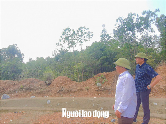 Bí ẩn rùa đá và sự tích kho báu Vua Hàm Nghi trên núi Hòn Đền - Ảnh 4.