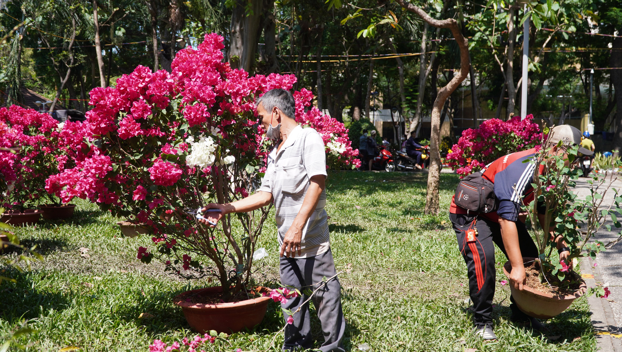 Nhộn nhịp chợ hoa 29 Tết, tiểu thương mừng vì không còn cảnh đập chậu hoa - Ảnh 5.