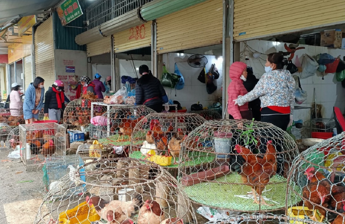 Dịch vụ rửa xe, làm thịt gà thuê "hốt bạc" ngày Tết