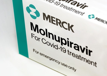 Thuốc Molnupiravir: 4 nhà sản xuất được xét cấp số đăng ký